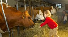 Farm Adventure Weeks with  ****s  Comfort