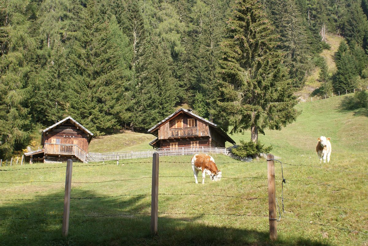 Ferienhaus Enzianhütte (100559), Irschen, Oberdrautal, Kärnten, Österreich, Bild 11