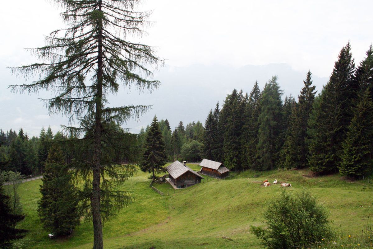 Ferienhaus Enzianhütte (100559), Irschen, Oberdrautal, Kärnten, Österreich, Bild 15