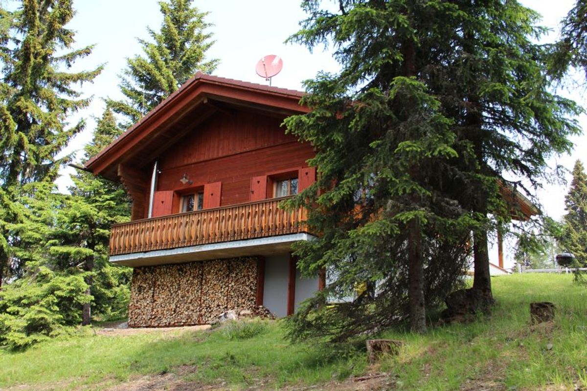 Ferienhaus Alpine-Lodges Theresia (250758), Arriach, Villach-Land, Kärnten, Österreich, Bild 14