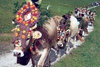 Almabtrieb