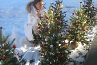 Christmas at the hotel "Adler" / 4-nights-package