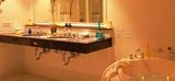 Royal de Luxe Suite