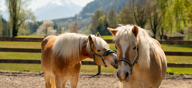 Quellenhof Luxury Resort Passeier: REITWOCHE