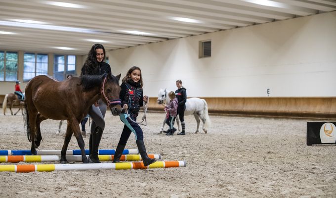 Ponyspiele in der Gruppe (auch privat buchbar)