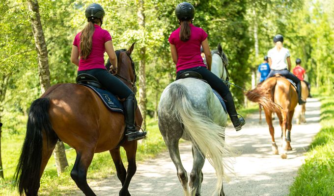 GEMEINSAME PRIVATAUSRITTE (2 ODER 3 PERSONEN)