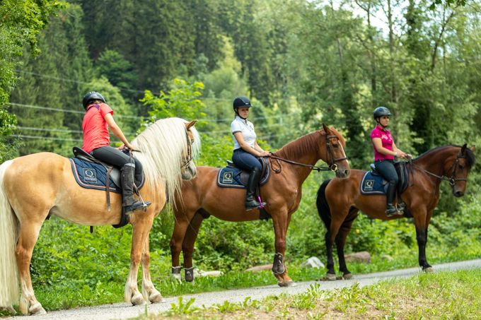GEMEINSAME PRIVATAUSRITTE (2 ODER 3 PERSONEN)