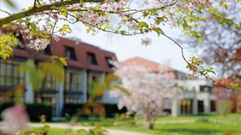 Friedrichsruher Gefühle