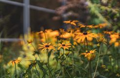 BIO HOTEL Bayerischer Wirt: Mitten in Augsburg - Bio-Hotel Bayerischer Wirt, Augsburg, Münchner Raum, Bayern, Deutschland