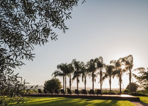 Biohotel La Casa die Melo: Ausblick mit Palmen - Casa di Melo, Siracusa, Sizilien, Italien