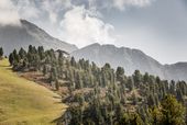 Herbstauszeit im Ötztal