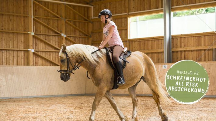 Urlaubsangebot: Schreinerhof Reiterglück - Premium Flex - Schreinerhof in Schönberg