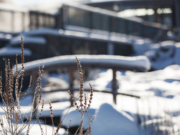 Wald-Winter-Wochen #9