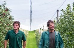 Naturresort Gerbehof: Familie Wagner bei der Apfel-Ernte - Naturresort Gerbehof, Friedrichshafen-Ailingen, Bodensee, Baden-Württemberg, Deutschland