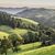 Schwarzwald Pur