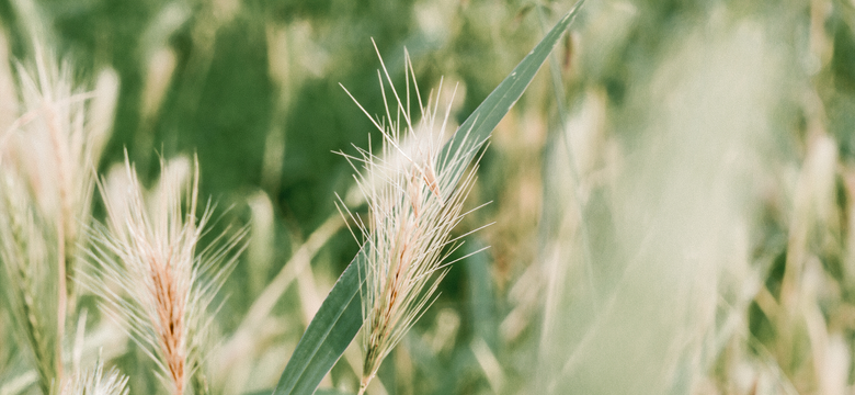 Jordan's Untermühle: Jordan’s Aktiv-Packages – erkunden