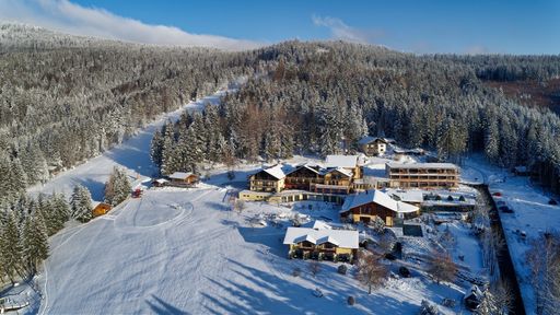 Wellnesshotel Riedlberg, im Winterkleid, verschneite Bäume, perfekte Skipiste mit Skihang und Übungsheft für Kinder