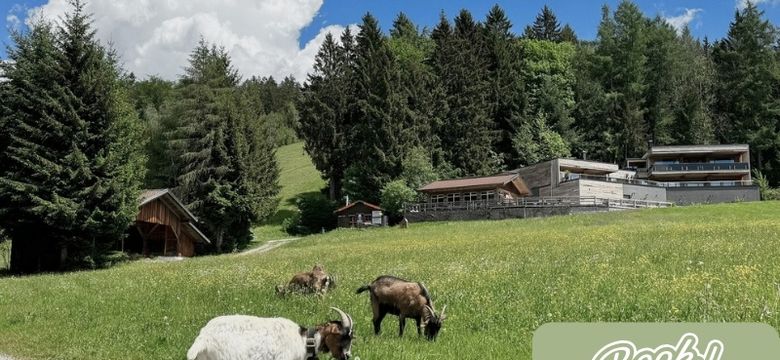 ...das kleine Paradies am Berg! Wellnesshotel Riedlberg : Berg-Tage