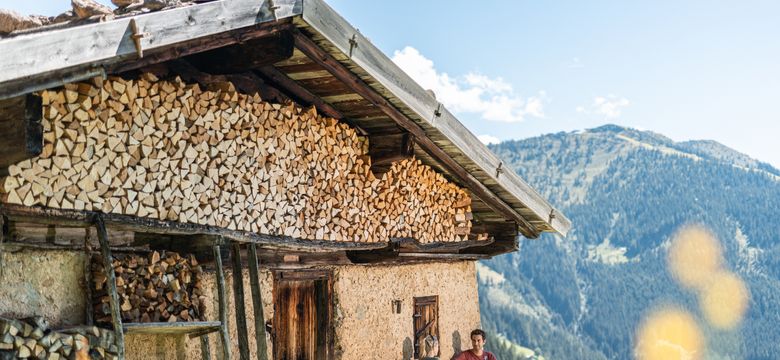 Mountain & Spa Resort Alpbacherhof: Wellness und Wandern