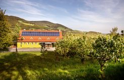 RETTER Bio-Natur-Resort: Quitten-Garten - RETTER BIO-NATUR-RESORT, Pöllauberg, Steiermark, Österreich