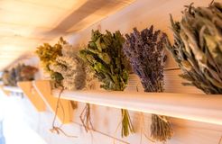 RETTER Bio-Natur-Resort: Kräuter-Sauna - RETTER BIO-NATUR-RESORT, Pöllauberg, Steiermark, Österreich