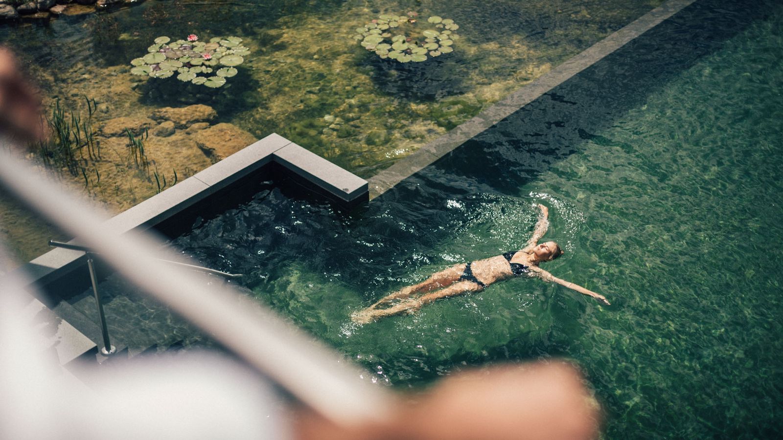 Bild #4 - Torghele’s Wald und Fluh