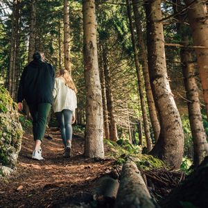 Impressionen #10 - Torghele’s Wald und Fluh