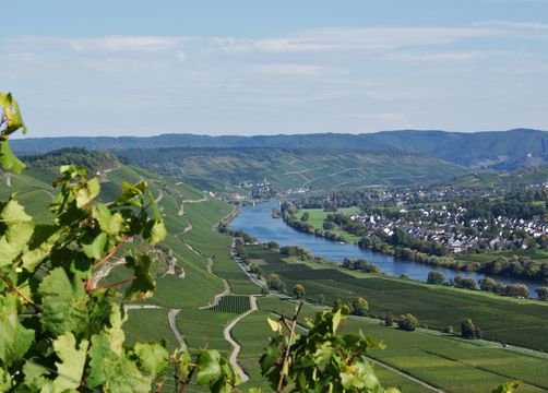 Bio Boutique Hotel Prüm: Urlaub an der Mosel - Bio Boutique Hotel Prüm & Yoga Retreats , Brauneberg, Mosel, Rheinland-Pfalz, Deutschland
