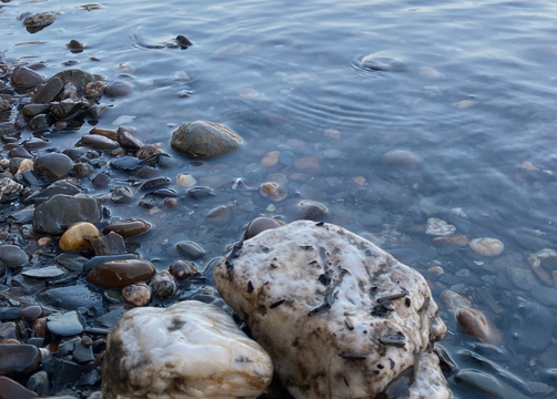 Bio Boutique Hotel Prüm: Mosel entdecken - Bio Boutique Hotel Prüm & Yoga Retreats , Brauneberg, Mosel, Rheinland-Pfalz, Deutschland