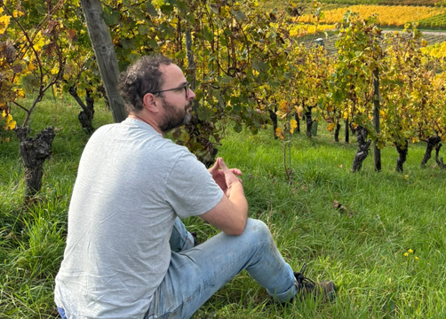 Bio Boutique Hotel Prüm: Bio-Weingut an der Mosel - Bio Boutique Hotel Prüm & Yoga Retreats , Brauneberg, Mosel, Rheinland-Pfalz, Deutschland