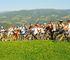 Norische Region