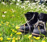 Wellness & Wandern