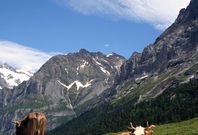 Schweiz – ganz natürlich