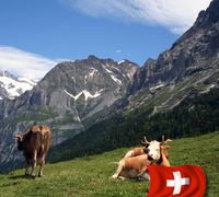 Schweiz – ganz natürlich
